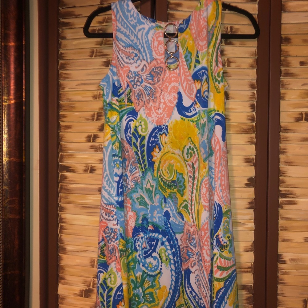 Ivy Lane colorful dress PS